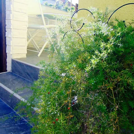 Apartamento Charming In With Private Pool - 66 M² *