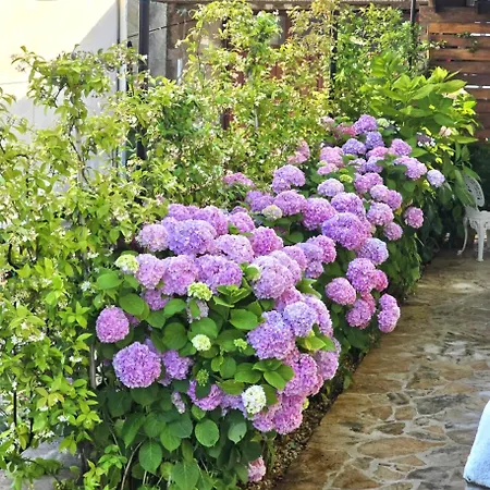 Charming In With Private Pool - 66 M² Lägenhet Zadar