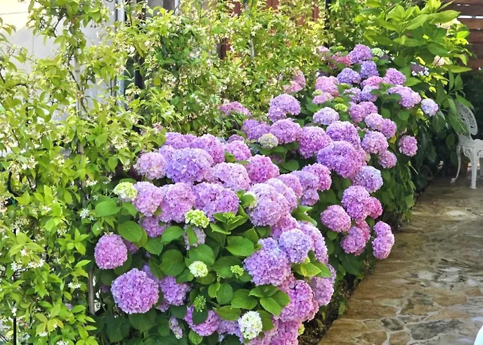 Charming In With Private Pool - 66 M² 公寓 扎达尔